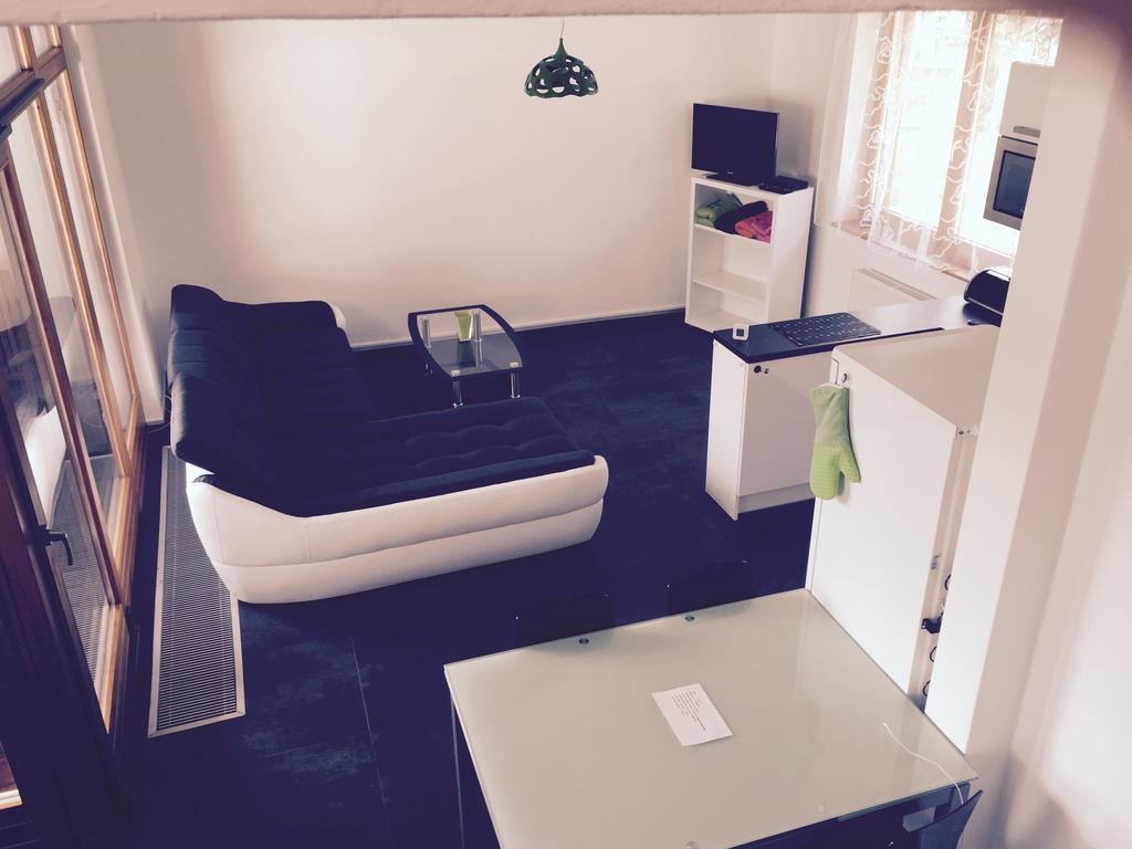 Apartman Martin Lipno nad Vltavou Værelse billede